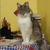 Отзыв от Ангелина Тимофеева